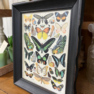 Papier Mousseline Illustrations Millot, Papillons, Découpage