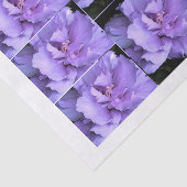 Papier Mousseline Images multi roses de Sharon de lavande (Détail)