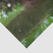 Papier Mousseline Imaginaire Belle Forêt Fée Découpage (Détail)