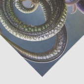 Papier Mousseline Imaginaire Belle Medusa Fleurs Serpents Découpage (Détail)