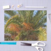 Papier Mousseline IMG_7080.JPGété, palme, feuille, tropical, arbre, (Artisanat)