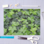 Papier Mousseline Impression botanique verte Ivy (Artisanat)