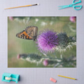 Papier Mousseline Impression Chardon et Papillon (Artisanat)