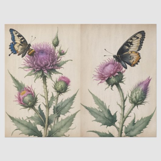 Papier Mousseline Impression Chardon et Papillon (Recto)