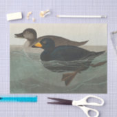 Papier Mousseline Impression de Macreuse noire d'Audubon : Canard cô (Artisanat)