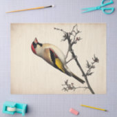 Papier Mousseline Impression d'oiseaux de décolpage d'aquarelle euro (Artisanat)