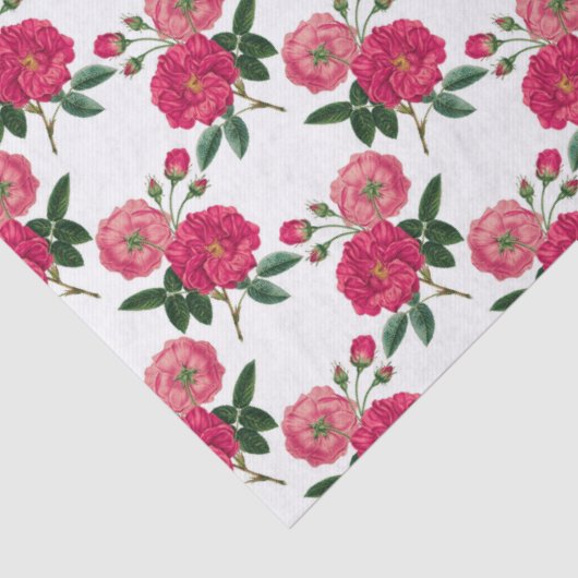 Papier Mousseline Impression rose rose rose (Détail)