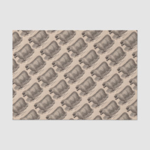 Papier Mousseline Imprimé au 19e siècle année Cotswold brebis