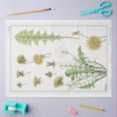 Papier Mousseline imprimé en français vintage (Artisanat)