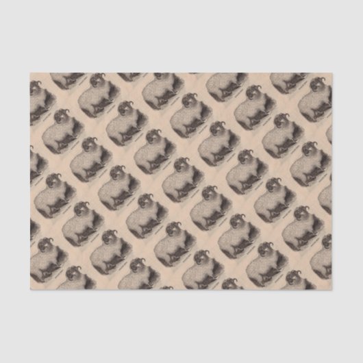 Papier Mousseline Imprimerie du 19e siècle moutons des Highlands (Recto)