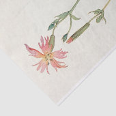 Papier Mousseline Indian Pink par Margaret Armstrong (Détail)