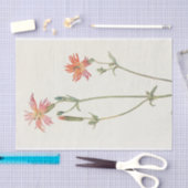 Papier Mousseline Indian Pink par Margaret Armstrong (Artisanat)