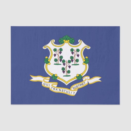 Papier Mousseline Indicateur d'état Connecticut (Recto)