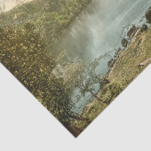 Papier Mousseline Innisfallen, Killarney, comté Kerry, Irlande (Détail)