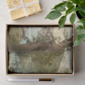 Papier Mousseline Innisfallen, Killarney, comté Kerry, Irlande (Cadeau)