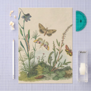 Papier Mousseline Insectes de jardin vintage, papillons, chenilles