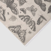 Papier Mousseline Insectes vintages Decoupage de lépidoptères (Détail)