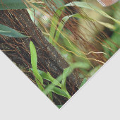 Papier Mousseline Inspirations de la nature Bright Blue Butterfly (Détail)