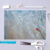 Papier Mousseline Inspirations de la nature Cardinal Rouge dans la F (Artisanat)