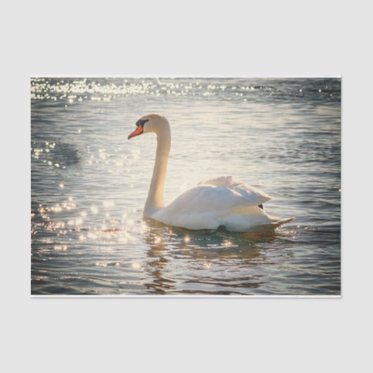 Papier Mousseline Inspirations de la nature Elegant Swan (Recto)