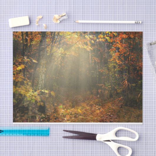 Papier Mousseline Inspirations naturelles Forêt ensoleillée (Artisanat)