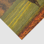 Papier Mousseline Inspirations naturelles Regal Buck (Détail)