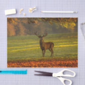 Papier Mousseline Inspirations naturelles Regal Buck (Artisanat)