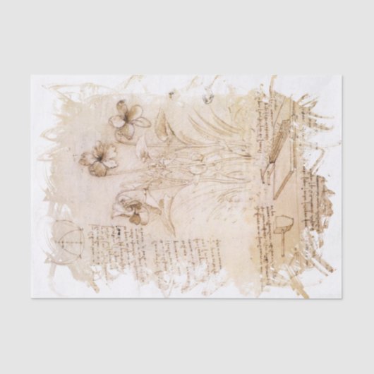 Papier Mousseline Inspiré par Léonard de Vinci (Recto)