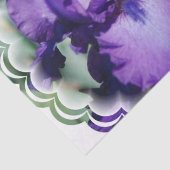 Papier Mousseline Iris barbu pourpre (Détail)