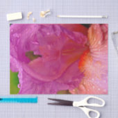 Papier Mousseline Iris Beauty-Tissue Papier à enveloppement (Artisanat)