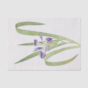 Papier Mousseline Iris Foliosa par William Dykes