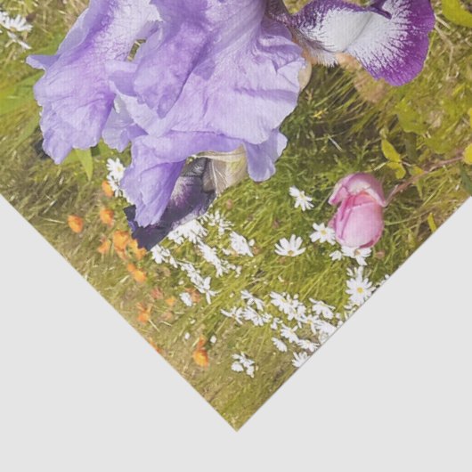 Papier Mousseline Iris Irises Fleur violette Anniversaire Filles Nom (Détail)