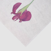 Papier Mousseline Iris Kaempferi par William Dykes (Détail)