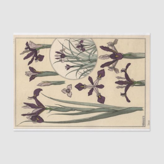 Papier Mousseline Iris, la série Botany d'Eugene Grasset (Recto)