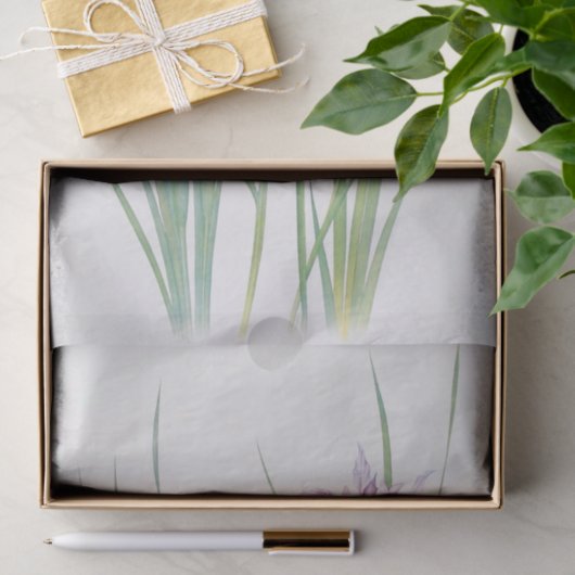 Papier Mousseline Iris Macrosiphon par William Dykes (Cadeau)