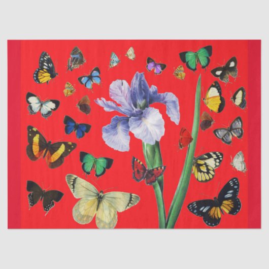 PAPIER MOUSSELINE IRIS PARMI LES PAPILLONS COLORÉS (Recto)