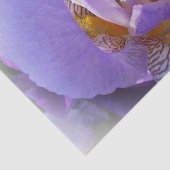 Papier Mousseline iris pourpre (Détail)