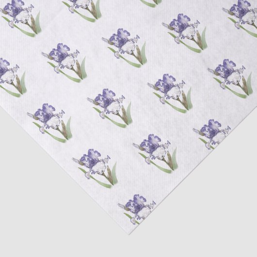 Papier Mousseline Iris pourpre rouillé (Détail)