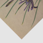 Papier Mousseline Iris Reticulata par Arentina Hendrica Arendsen (Détail)
