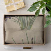 Papier Mousseline Iris Reticulata par Arentina Hendrica Arendsen (Cadeau)