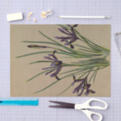 Papier Mousseline Iris Reticulata par Arentina Hendrica Arendsen (Artisanat)