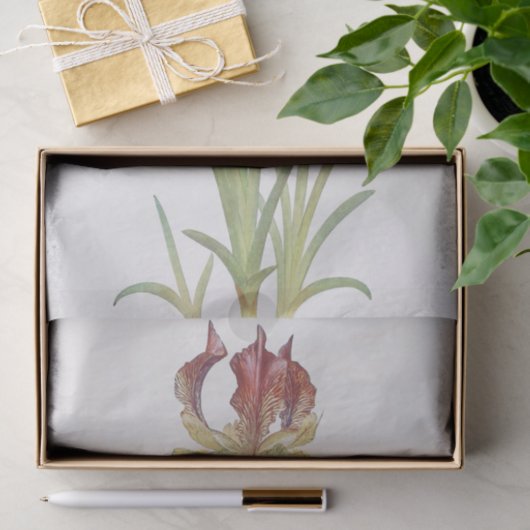 Papier Mousseline Iris Sari par William Dykes (Cadeau)