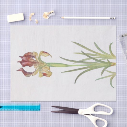 Papier Mousseline Iris Sari par William Dykes (Artisanat)