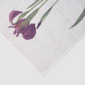 Papier Mousseline Iris Setosa par William Dykes (Détail)