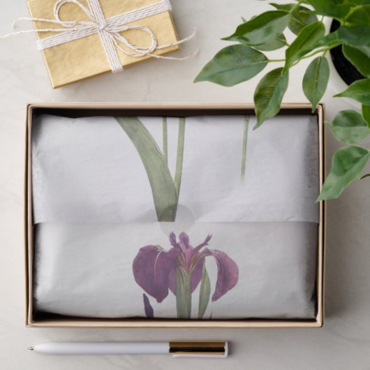 Papier Mousseline Iris Setosa par William Dykes (Cadeau)