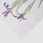 Papier Mousseline Iris Sintenisii et Iris Spuria par William Dykes (Détail)
