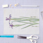 Papier Mousseline Iris Sintenisii et Iris Spuria par William Dykes (Artisanat)