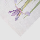 Papier Mousseline Iris Spuria (Cachemire) par William Dykes (Détail)
