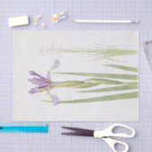 Papier Mousseline Iris Spuria (Cachemire) par William Dykes (Artisanat)