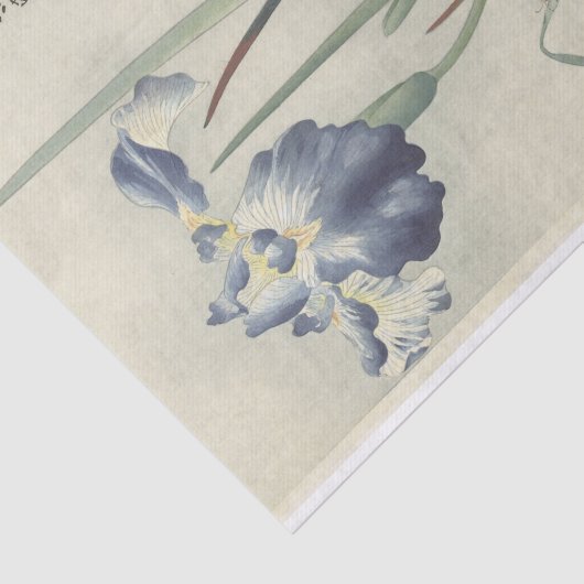 Papier Mousseline Irises par Ohara Koson (Détail)